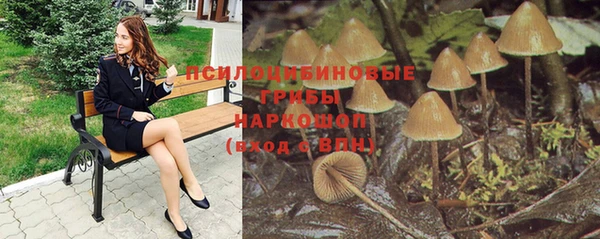 MESCALINE Няндома