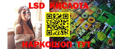 твердый Гатчина