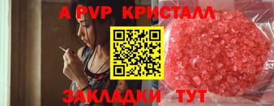 СК Гай