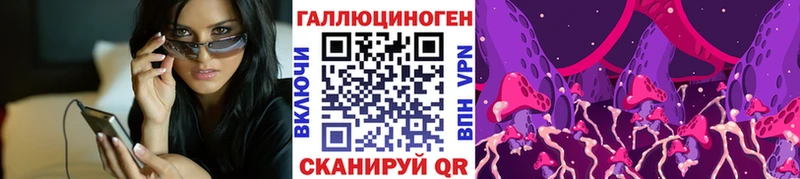 что такое наркотик  Старая Купавна  Галлюциногенные грибы Psilocybine cubensis 