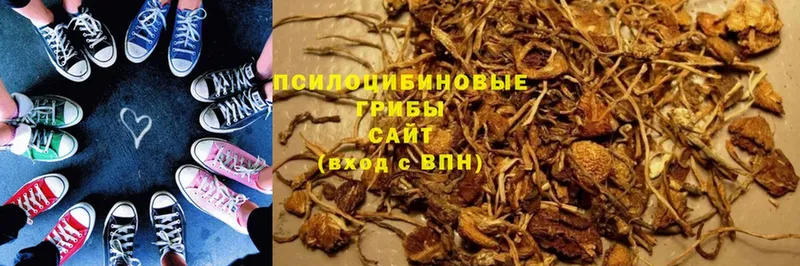 Галлюциногенные грибы GOLDEN TEACHER  Старая Купавна 