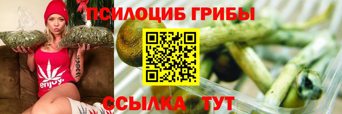 Псилоцибиновые грибы Magic Shrooms Старая Купавна