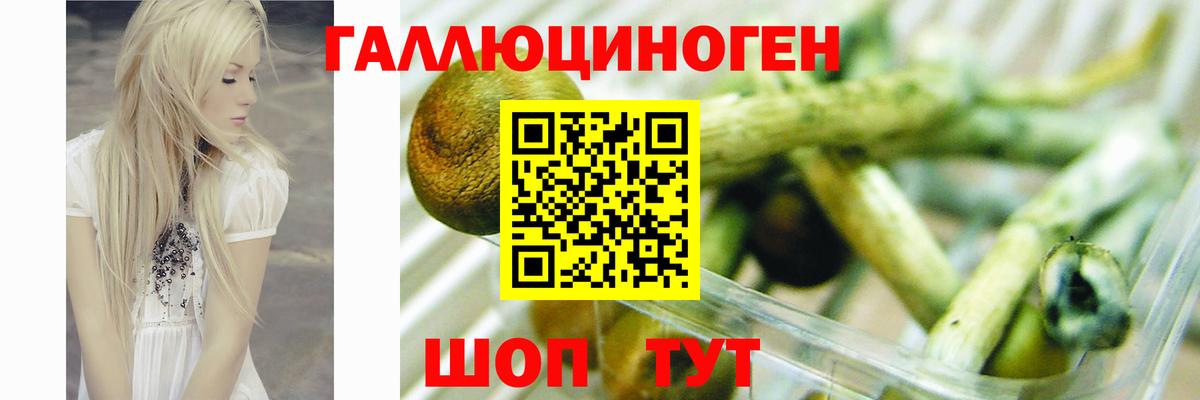Псилоцибиновые грибы Psilocybe  Вход с VPN  Старая Купавна  Псилоцибиновые грибы GOLDEN TEACHER 